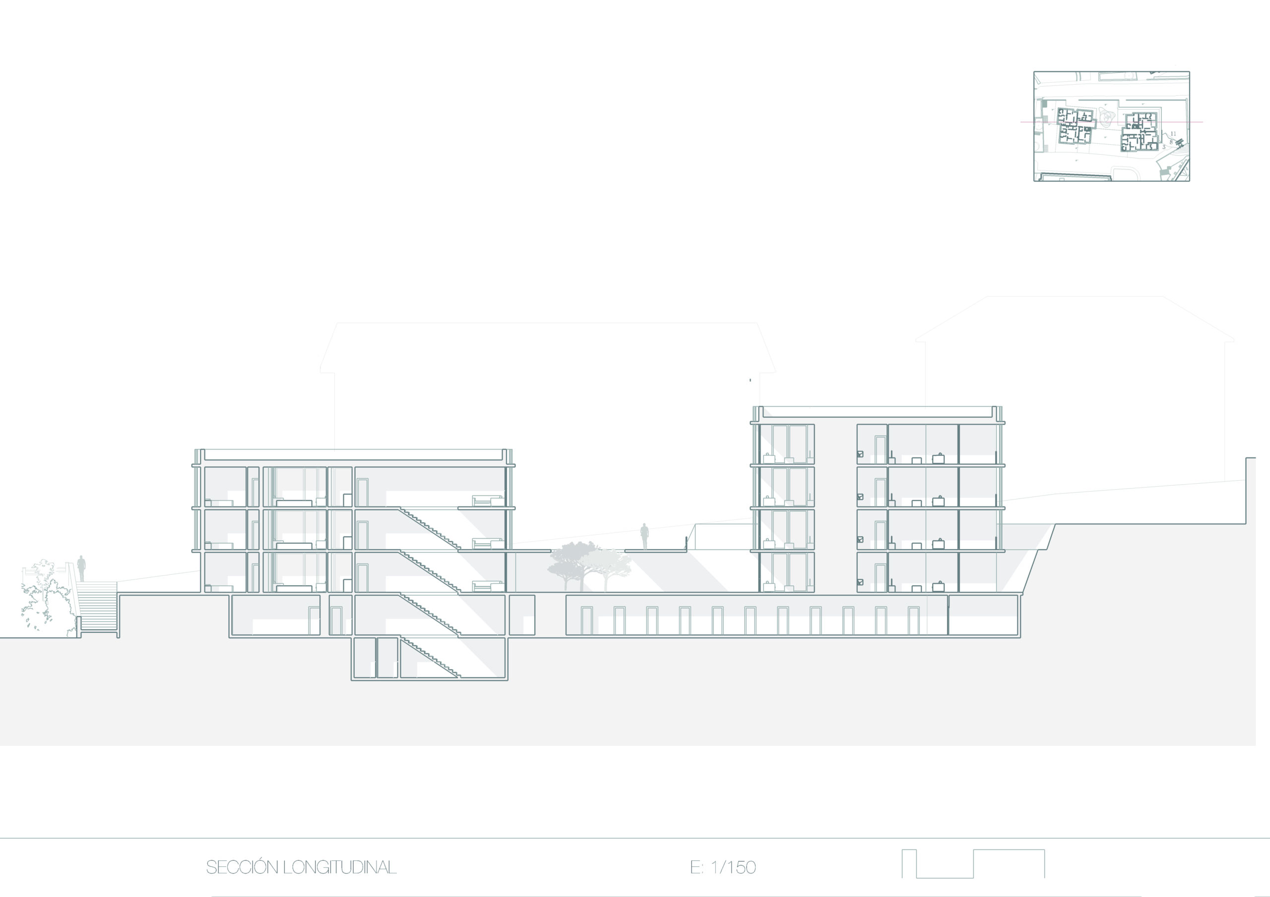 LONGITUDINAL SECTION